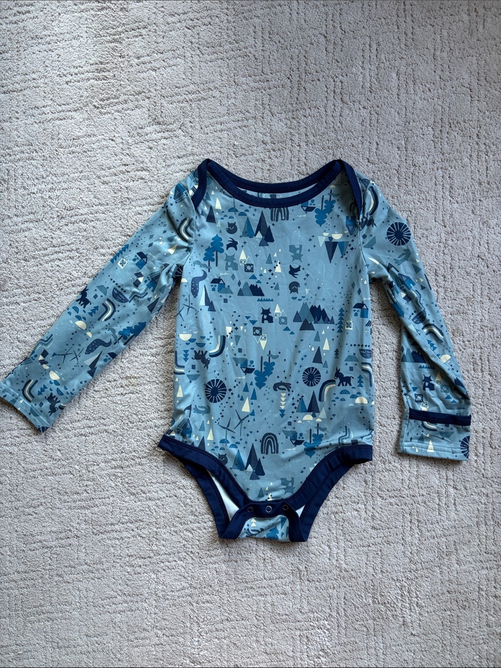 Patagonia Baby Onsie